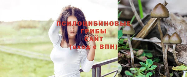 MESCALINE Баксан