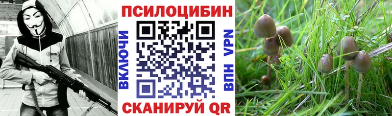 Псилоцибиновые грибы Magic Shrooms  Купить закладки  Усть-Кут 